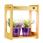 Garden Vegetable Corn Plant Mini System Vertical Equipment Piece Smart Garden Germination Kit