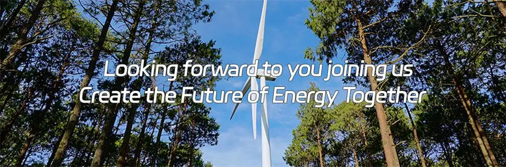 Roof Wind Turbine Generator, 500W, 2000W - detail 48