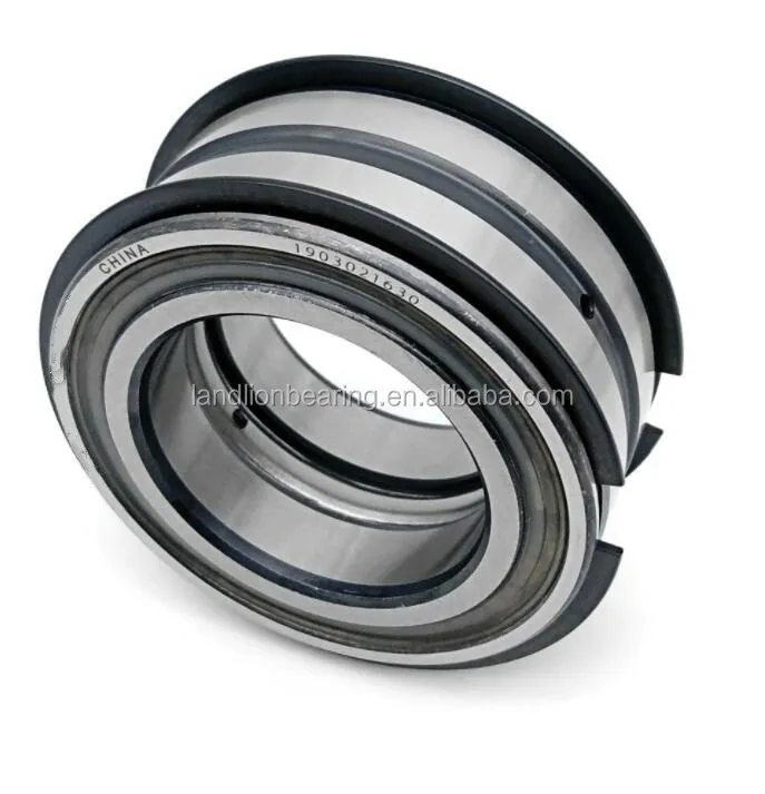 SL045013-PP-2NR INA Cylindrical Roller Bearing Double Row 65x100x46mm 