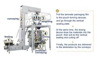 Chips Packing Machine Banana Apple Chips Packing Machine Plantain Banana Chips Packing Machine