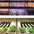 Bar Led Economical Commercial Plant Grow Light Bar 600 800 W Foldable Led Plant Grow Light
