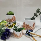 Nordic Simple Home Decorative Mini White Flower Pots Round Ceramic Terracotta Plant Pots