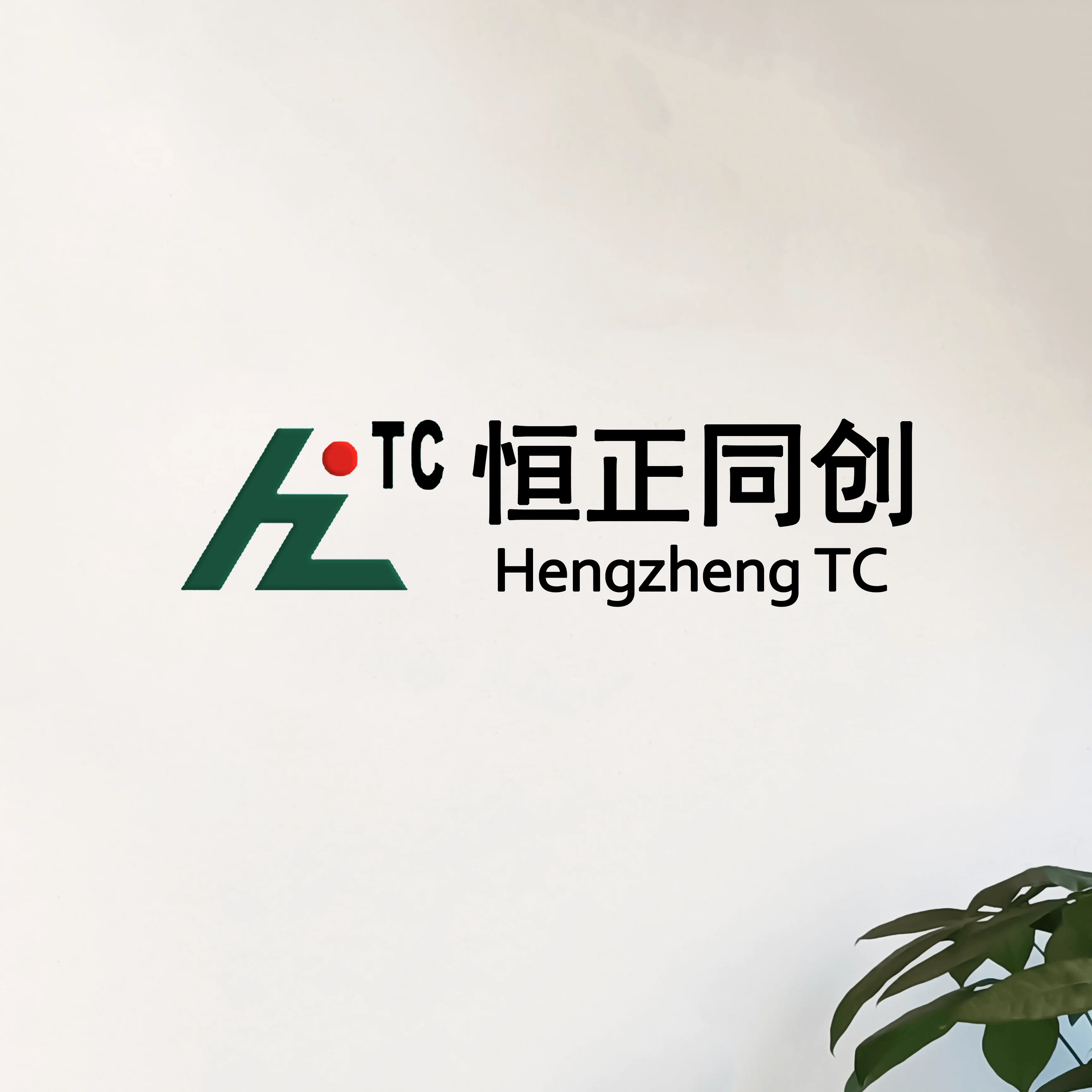 HZ10N10F2OCP 10 Gigabit Dual-Port OCP3.0 Network Card with PCI Express 3.0 x8 for High-Speed Server Applications