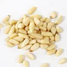 Pine Nuts Pine Nuts Big Factories Export Hot Siberian Pine Nuts