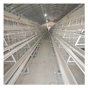 Poultry Husbandry Equipment Multifunctional Provided Chicken Coop Chicken Cage Chicken Farm Semi Automatic Animal 1000 Birds