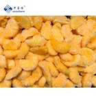 New Crop IQF Frozen Mandarin Orange