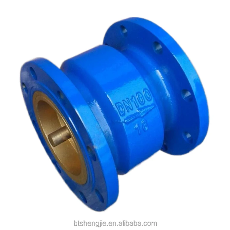 Ductile Iron Flanged Vertical Lift Spring Non Return Silent Check Valve Oem Pn10 16 Buy Silent