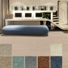 Carpet 100% Solution Dyed Polyester Soft Premium Wall To Wall Carpet