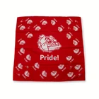 Customized Bandanas For Women Double Sided Printed Paisley Bandana 100% Cotton Custom Bandana