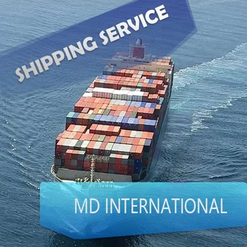 Sea Freight Container Shipping From China To new York/USA/CANADA/Europe/Australia