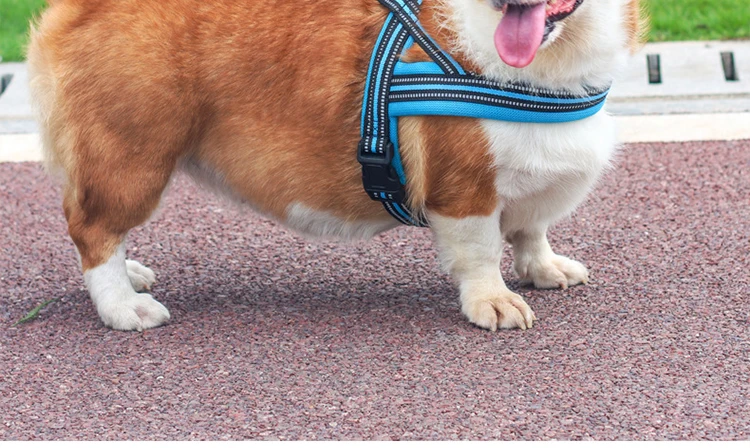 Soft Vest Neck Chest Adjustable Reflective Light weight Harness Anti-Twist Pet Lead Combo Dog Collar Leash And Harness Set