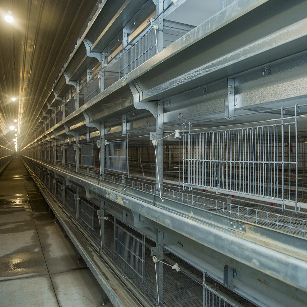 H type broiler chicken cage