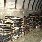 Salted Cow Head Skin /Available Wet Salted Donkey Hides/ Cow Hides/Sheep