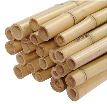 Cheap price raw natural Bamboo for construction and home decoration natural bamboo poles