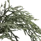 Leaves Artificial Rime Grassl 3 Forks Willow Leaves Branch Natural Color Outdoor Wedding Decoration