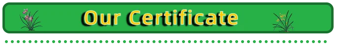 certificate.png