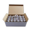 Bulbs Bulb Bulb Antique LED Edison Bulbs 2200K Warm White 0.9W PET Clear Housing Bulb