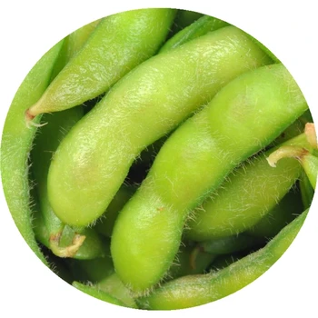 New Corp IQF Frozen Vegetable Edamame for Wholesale