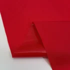 Nylon Fabric Nylon Fabric 10d 20d 100 Nylon Ripstop Matting Nylon Stretch Fabric With Bright PU Coating