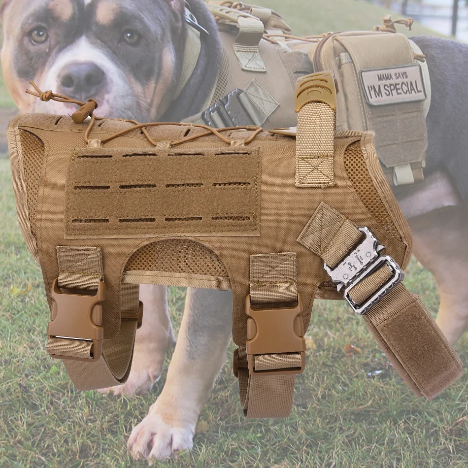 molle dog