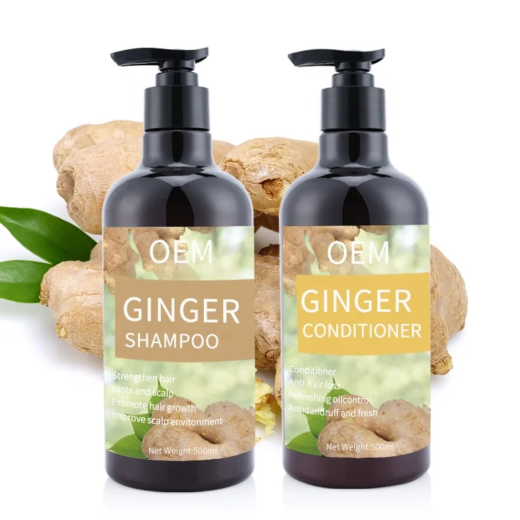 Private Label Herbal Shampoo And Conditioner Care Set Oem Dandruff Hair Loss Natural Organic Hair Growth Ginger Shampoo Buy Ginger Shampoo Shampoo Hair Growth Shampoo Product On Alibaba Com