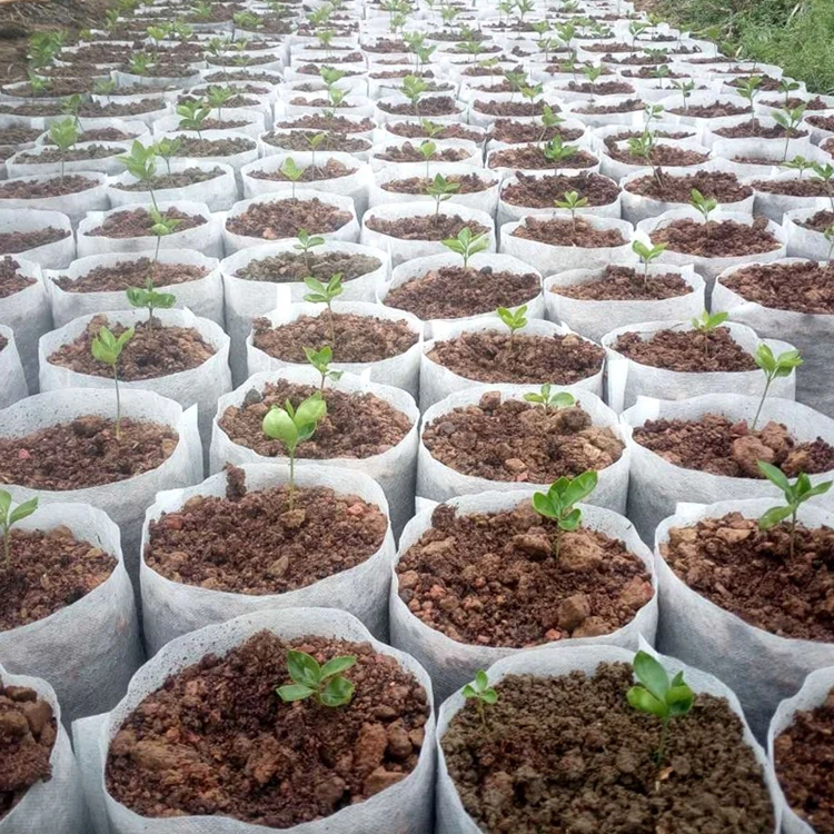 Biodegradables blancos no tejidos crecen bolsos que la planta crece el bolso 4