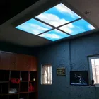 Led Panel Light Led ERT Led Sky Ceiling Panel Light Sky Light Led Skylight 600*600 Image Customize