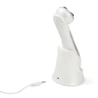 Portable Portable Portable Face Lifting Machine Wrinkle Remove Skin Tightening RF EMS LED Beauty Device