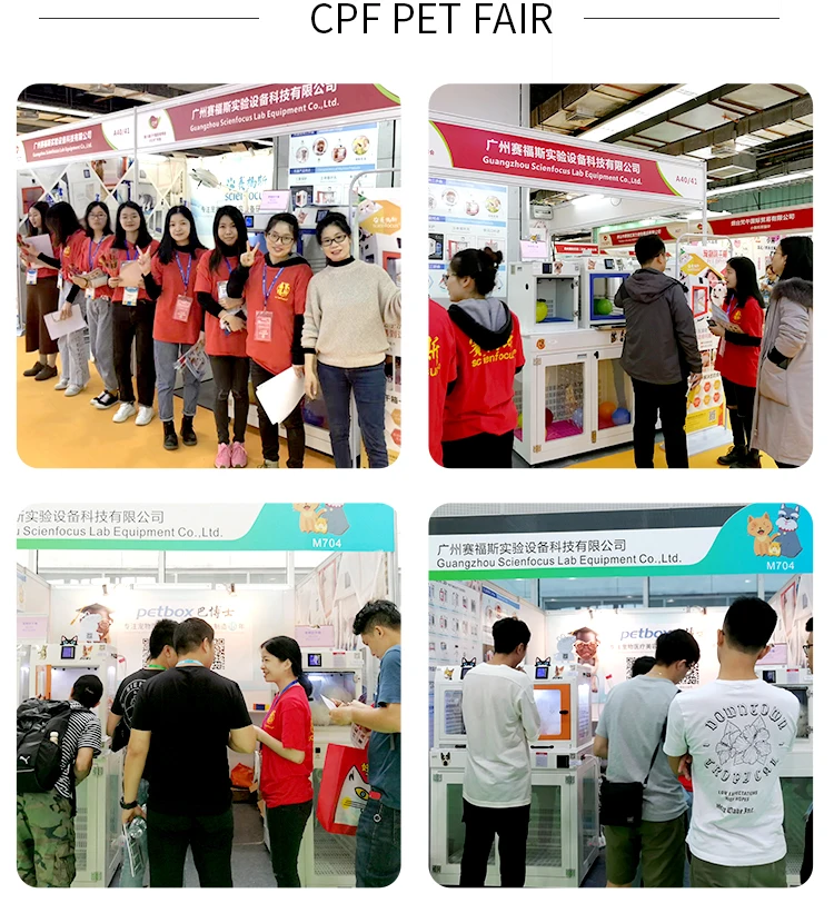 Hot Sell New Stainless 304# Automatic, Cat Dog Dryer Equipment Pet Dryer Box/