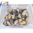 Live Shellfish Shellfish Supplier Selling High Quality Live Shellfish Without Shell Blue Mussel Meat