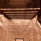 Led Plant Grow Light Stock In US Plant Grow Led Lights 6 Bar Full Spectrum 600W LED Grow Light