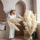 Wedding D-3001 Hot Sale Wedding Decorative Preserved Dried Natural Pampas Grass