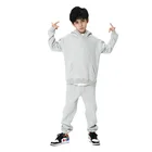 Kids Clothing Kids High Quality Clothing Blank Custom Logo Thick Fleece Jogger Tracksuits Hooded Sweatsuits Sets For Boys