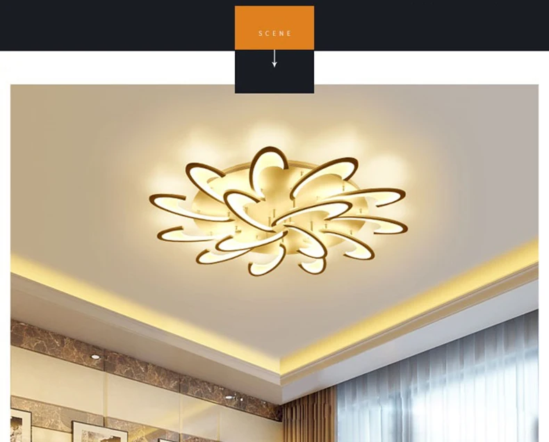 Contemporary Style LED Ceiling Lamp Acrylic Aluminum Ceiling Lights Lighting
