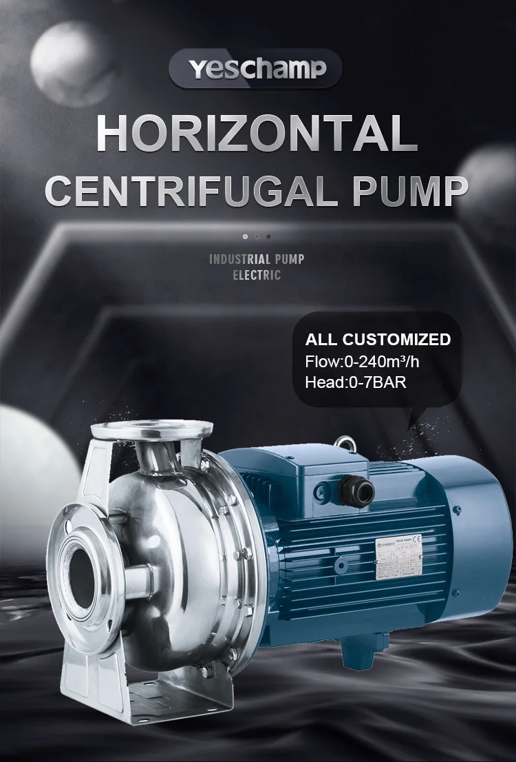 Stainless Steel Centrifugal Pump, YE3, NSK - detail 2