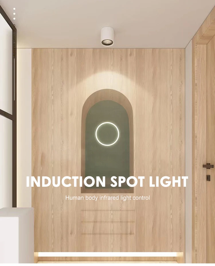 lc10225 good price adjustable white downlight aluminum ceiling surface cob led spot lights-0