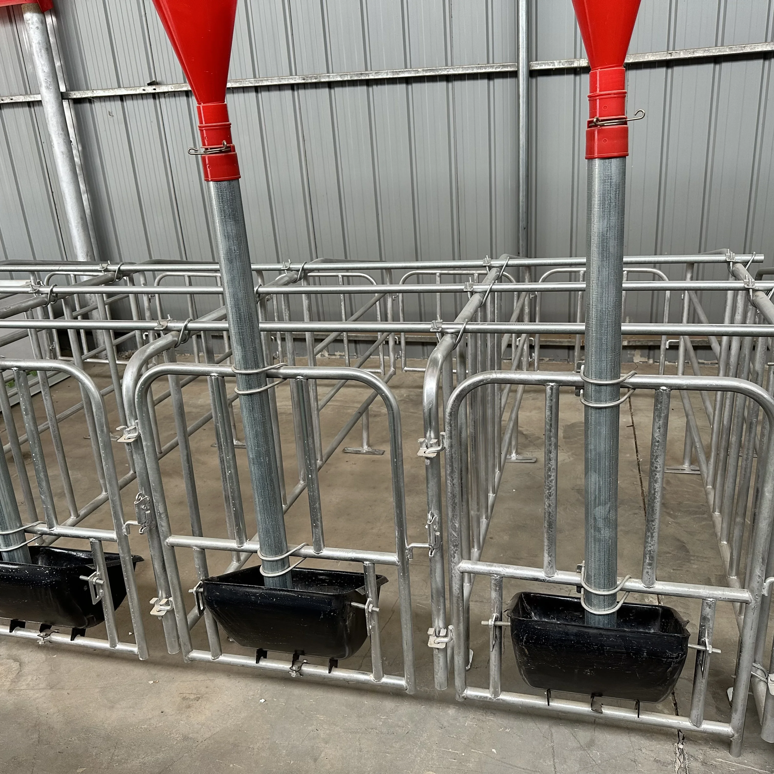 High Quality Gestation Crates Gestation Pen For Pigs Customized