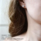 Zircon EManco Stainless Steel Shinny Zircon Simplicity Stud Earrings For Women Men 3mm Diameter