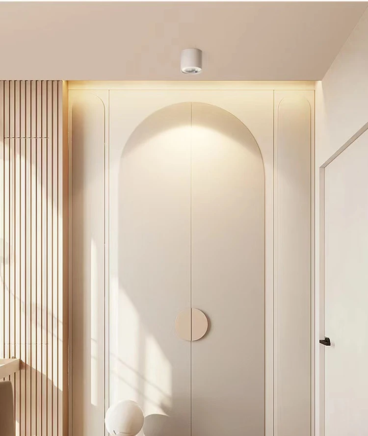 lc10225 good price adjustable white downlight aluminum ceiling surface cob led spot lights-5