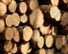 Epal Pallet Pallet Factory Factory Price Euro EPAL Wooden Pallet
