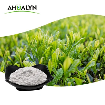 Ahualyn Supply Green Tea Extract CAS 3081-61-6 L-Theanine 99% Powder L Theanine for Food Additives