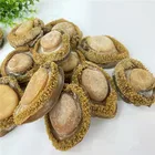 Abalone Hot Sale Natural Air Drying No Shell Food Abalone Earr Paua Frozen Abalone
