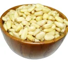Pine Nuts With Pine Nuts Prices Wholesale Afghanistan Pine Nuts Kernels With New Crop