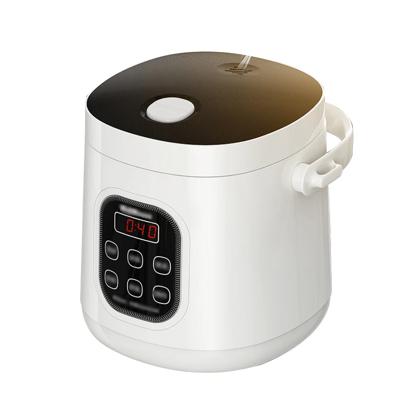 mini rice cooker 12v