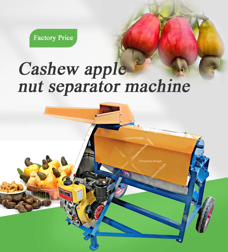 Fruit Raw Cashew Nuts Kernel Separator Machine (Three Grade) factory