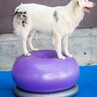Pet Toys Ball Pet Dog Toys : Anti Burst Fitness Balance Inflatable PVC Donuts Gym Ball