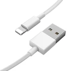 Iphone OEM Service Manufacturer About Logo Packaging Usb Iphone Charger Box Cable
