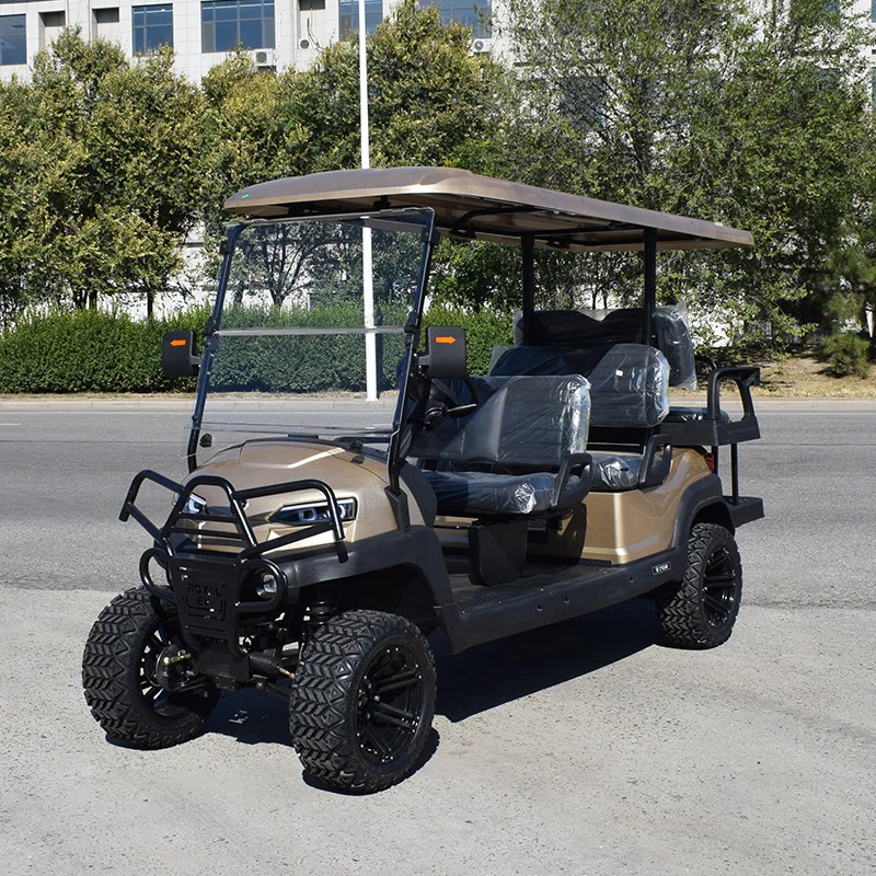 Zycar Brand Electric Golf Cart With Professional Meter With Lithium