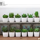 Decoration Plant Mini Office Decoration Desktop Plastic Succulent Plant Bonsai