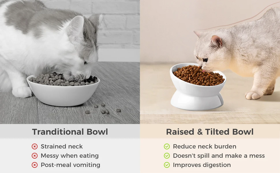 Raised &amp;amp;amp; TIlted Bowl